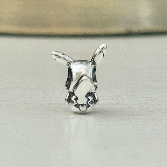 Pikachu Charm - Picture 7 of 8